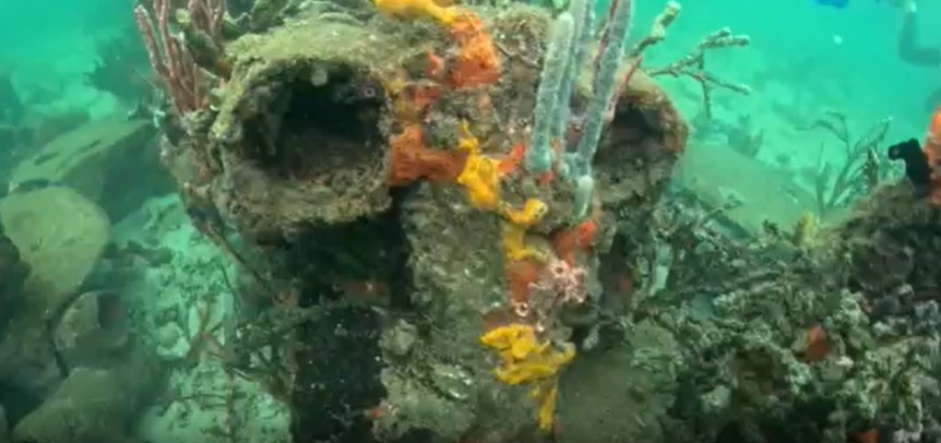 Orange sponges and coral growing on an underwater structure