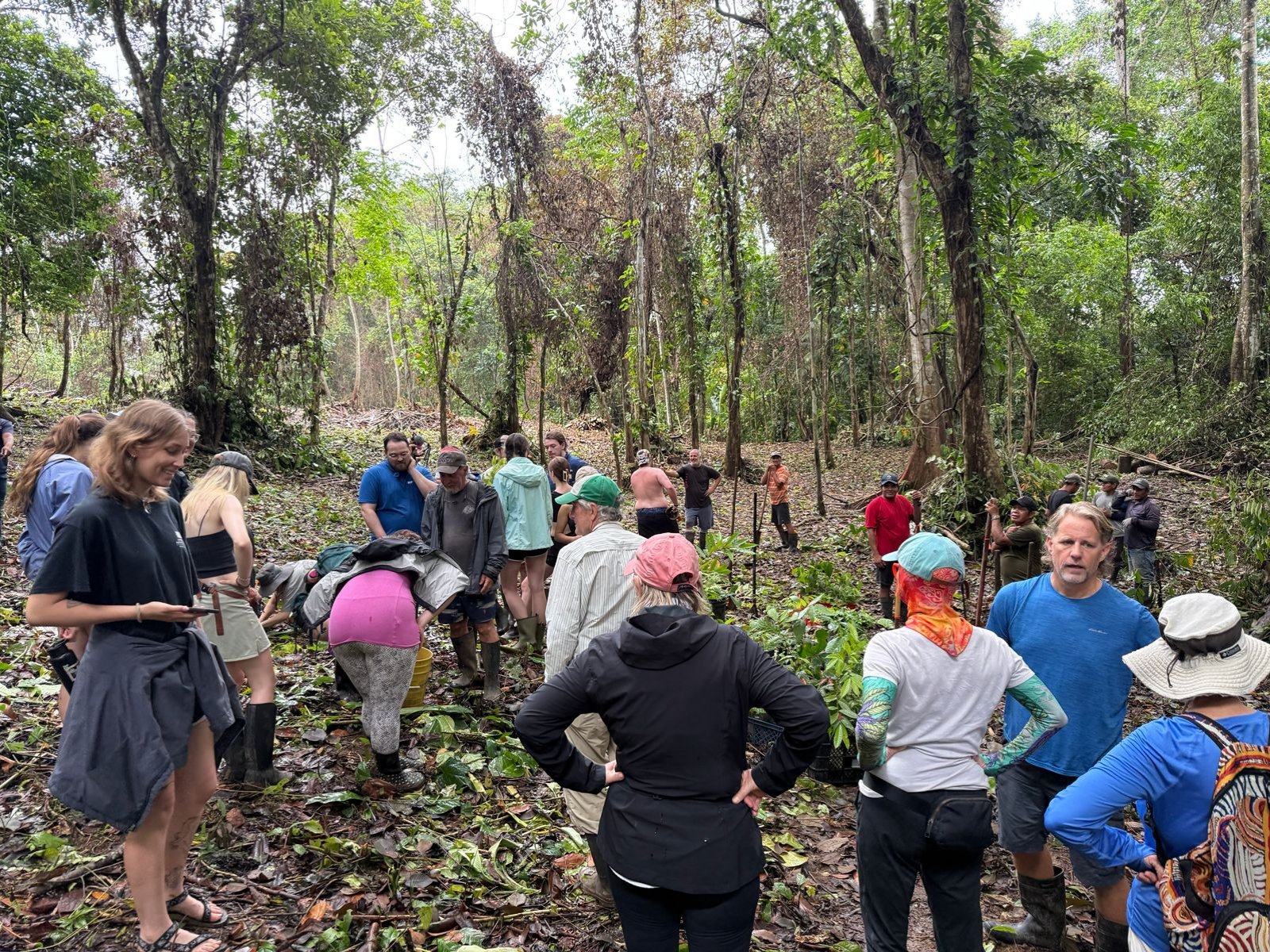 Volunteers gathered on a forest trail among young trees
